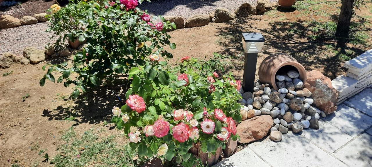 Fenetre Sur Les Alpilles Bed and Breakfast Saint-Martin-de-Crau Εξωτερικό φωτογραφία