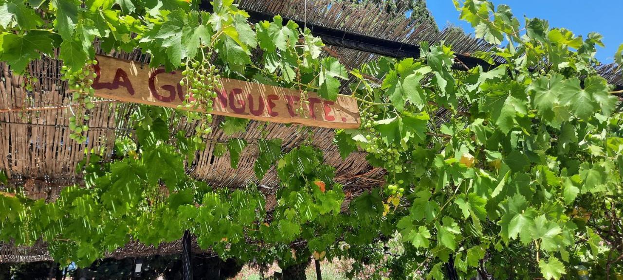 Fenetre Sur Les Alpilles Bed and Breakfast Saint-Martin-de-Crau Εξωτερικό φωτογραφία