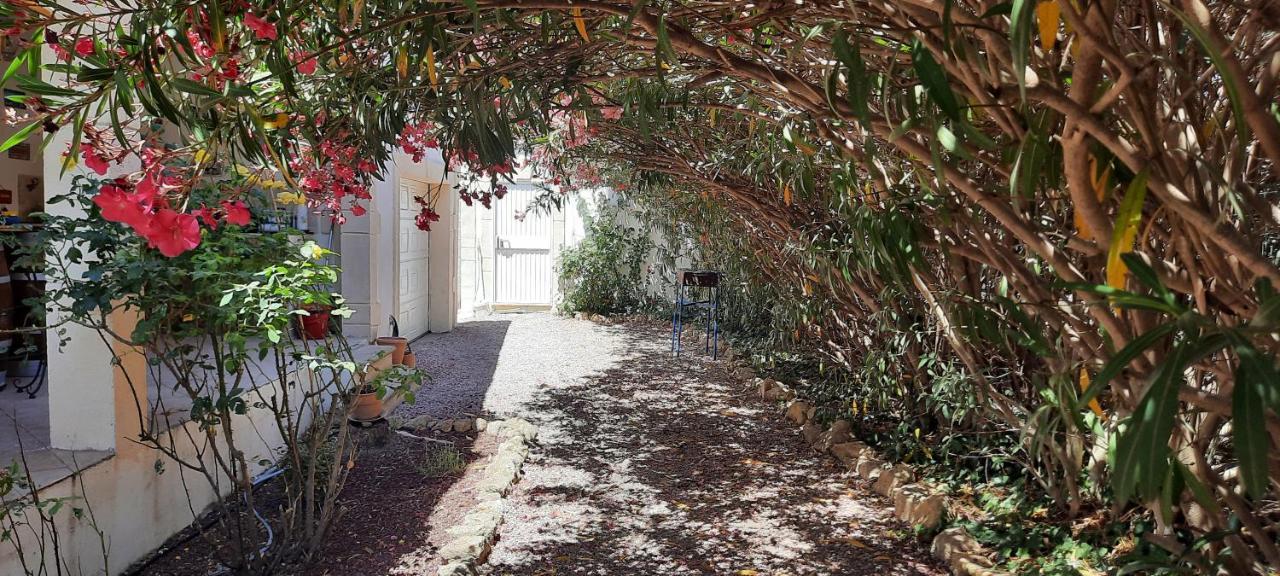 Fenetre Sur Les Alpilles Bed and Breakfast Saint-Martin-de-Crau Εξωτερικό φωτογραφία