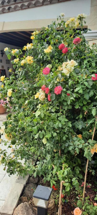 Fenetre Sur Les Alpilles Bed and Breakfast Saint-Martin-de-Crau Εξωτερικό φωτογραφία