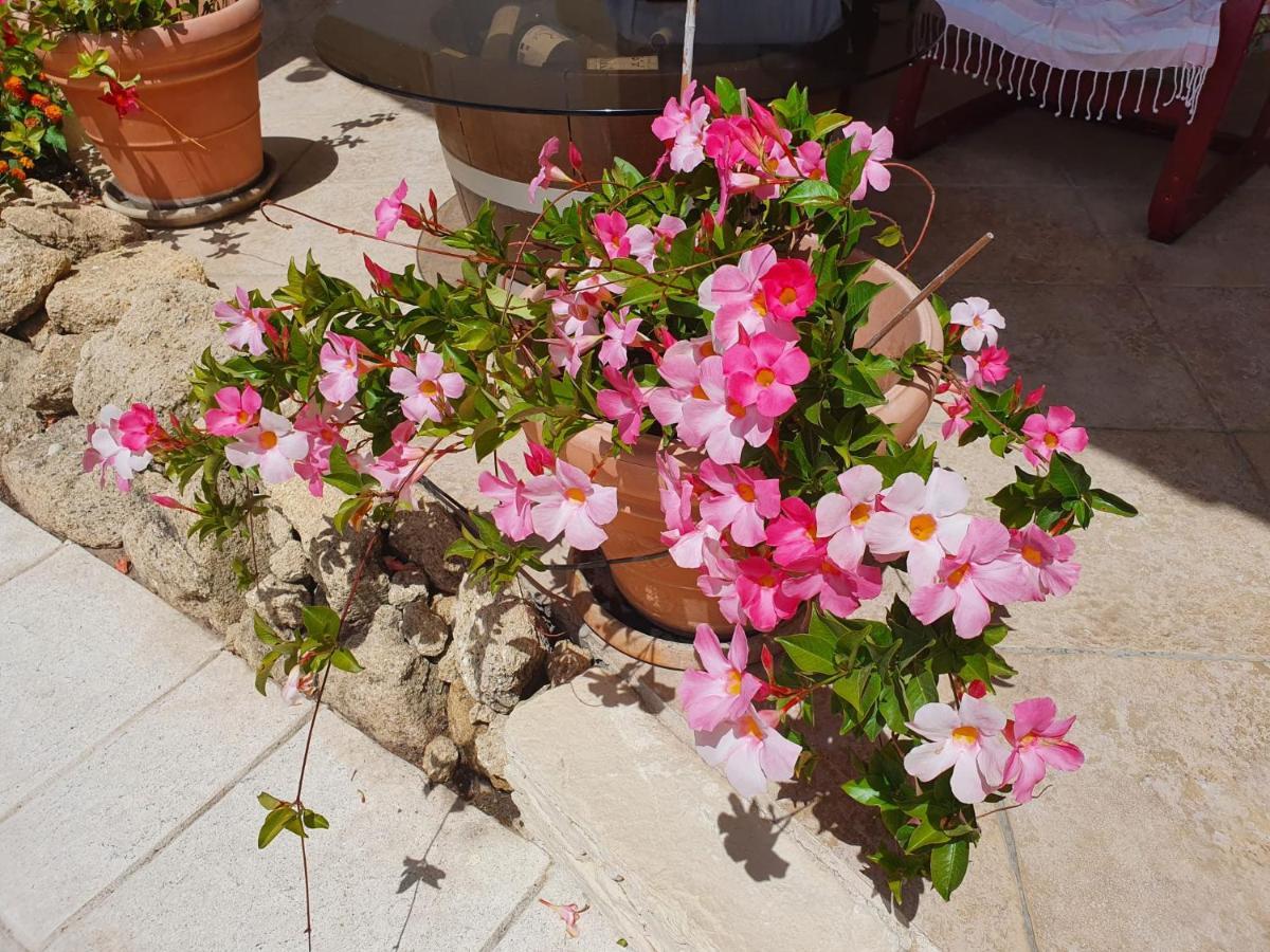 Fenetre Sur Les Alpilles Bed and Breakfast Saint-Martin-de-Crau Εξωτερικό φωτογραφία